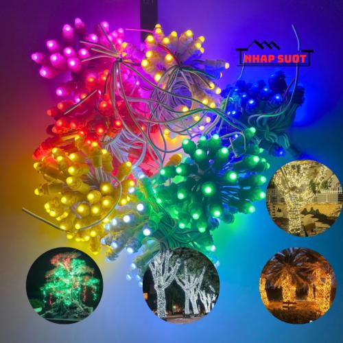 day-led-duc-cuon-cay-f5-dien-12v-phi-5-de-8-dai-3m-gom-50-mat-decor-trang-tri-bien-quang-cao-250322114104