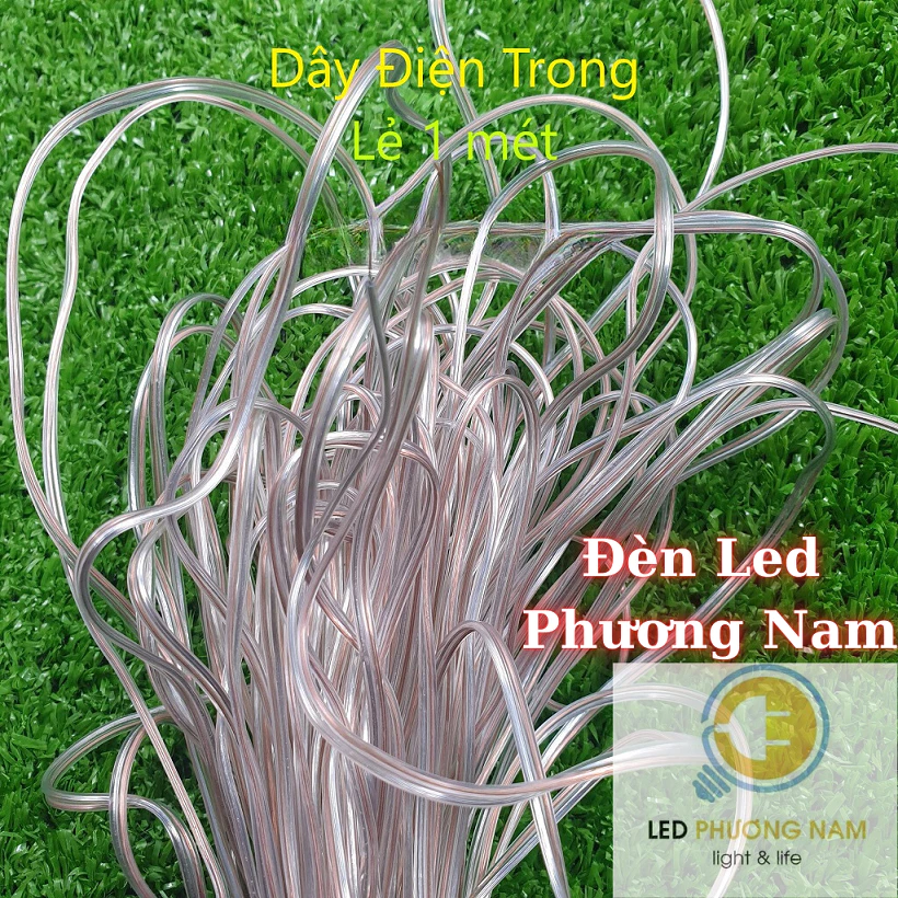 Dây điện trong suốt 2 0.25mm dùng làm Led neon, led dán nội thất, 1m